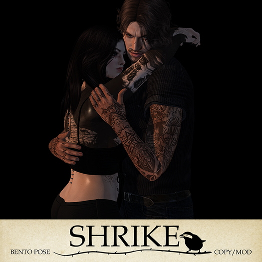 SHRIKE - How Do You Want Me - Couples Pose