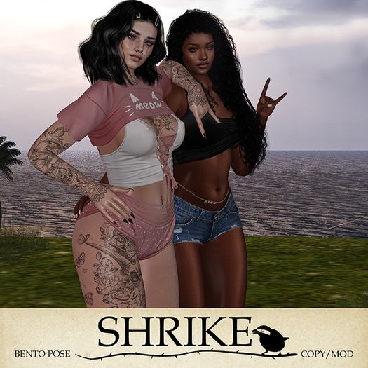 SHRIKE - Girl 'tude - Friends Pose