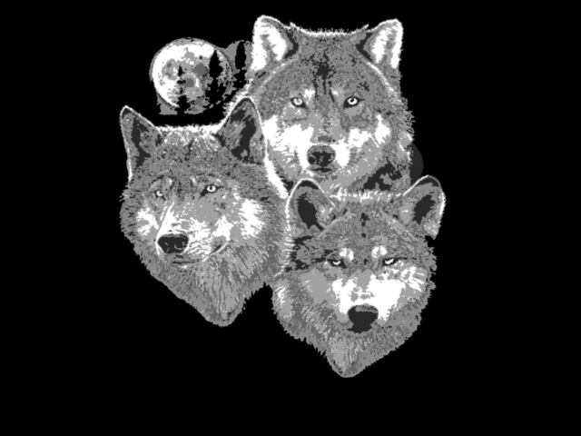 **Eagle's Texture** 3 Wolves
