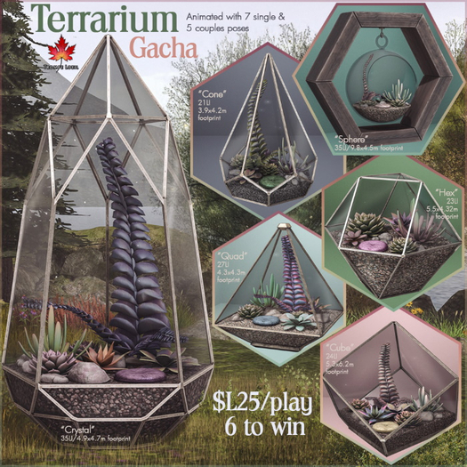 Trompe Loeil - Terrarium Gacha Sphere