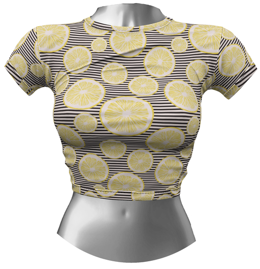 RIOT / Aubrey Crop Tee - Pattern11