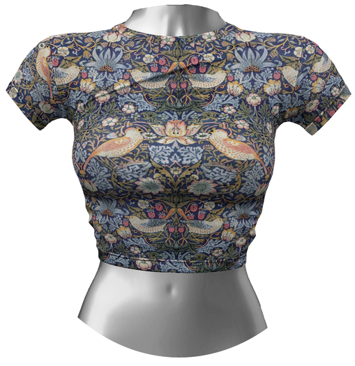 RIOT / Aubrey Crop Tee - Pattern4