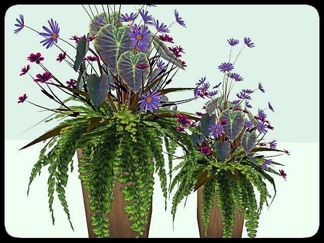 [AE] Garden Store - Sasha Spring Planter Set- purple