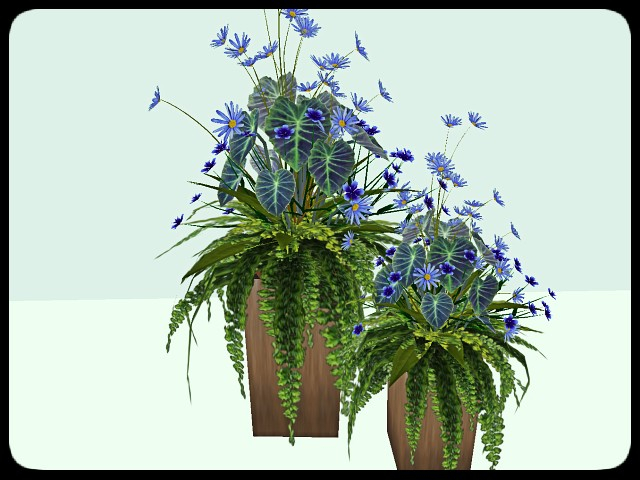 [AE] Garden Store - Sasha Spring Planter Set- blue