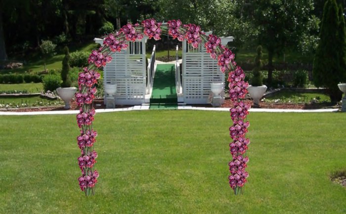 archway dried rose's sunset pink