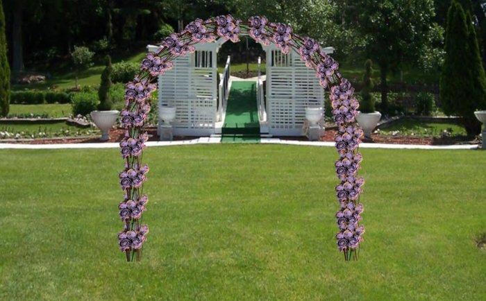 archway dried rose's sunset mauve