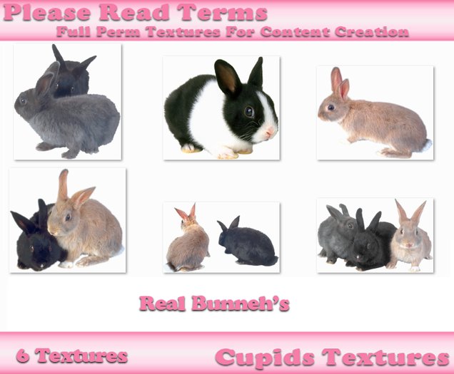 6 Real ALpha Bunneh's Textures
