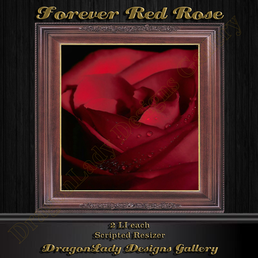 Forever Red Rose 