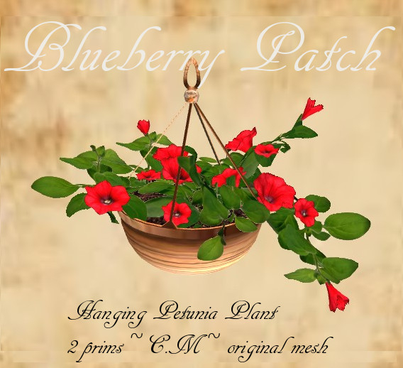 Petunia hanging plant-ruby