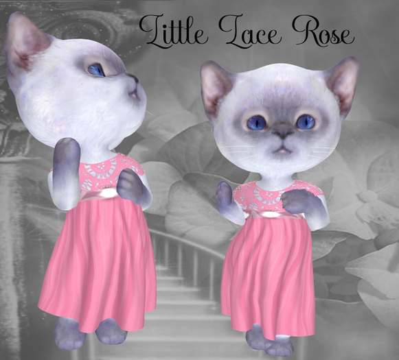 LP *Dinkie* Little Gothic Rose Lace