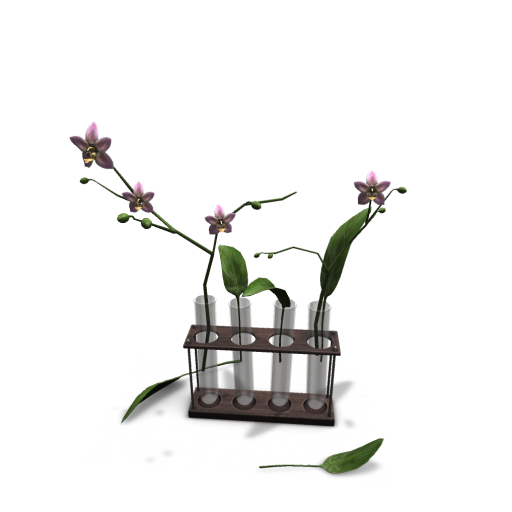 NOMAD // Test Tube Orchid Pink