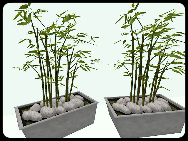 [AE] Garden Store - Kito Bamboo in Stone Planter