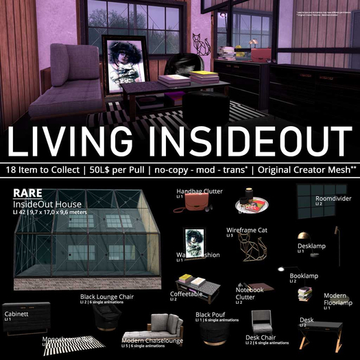 22769 - Inside Out House - RARE