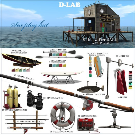 D-LAB sph01  Hut RARE