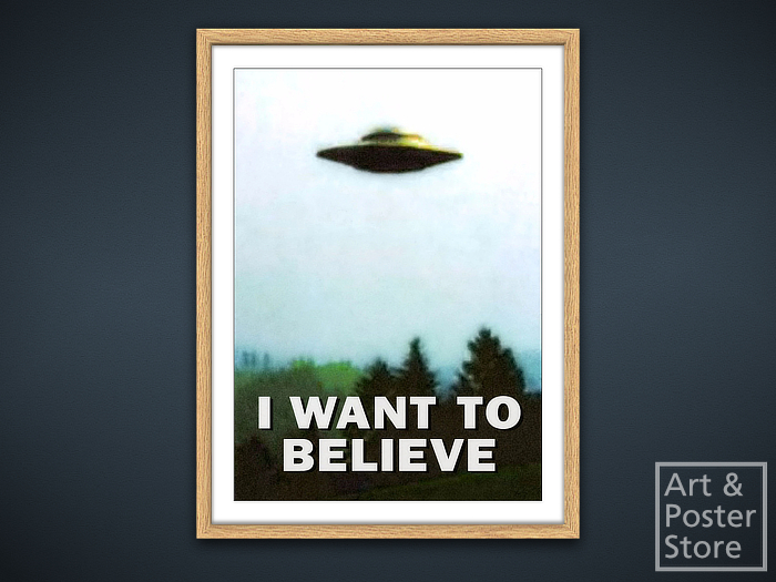 I Want To Believe | X Files Poster | Mesh Frame with 6 texture options