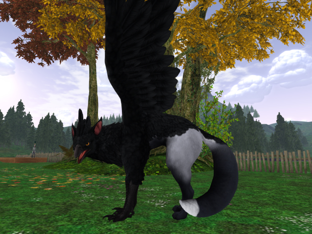 BRDMRT GRIFFIN RavenFox