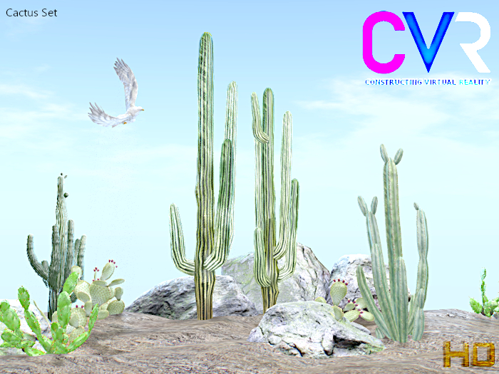 CVR Cactus set box
