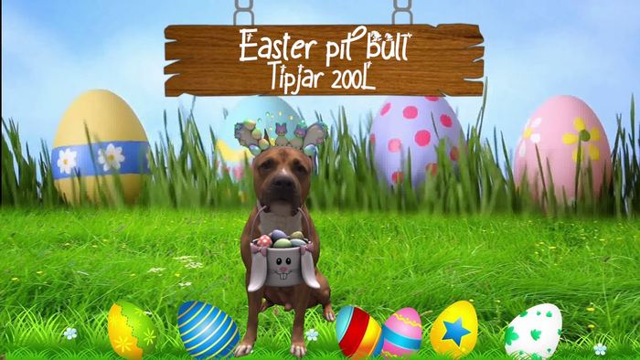easter pitbull tipjar2
