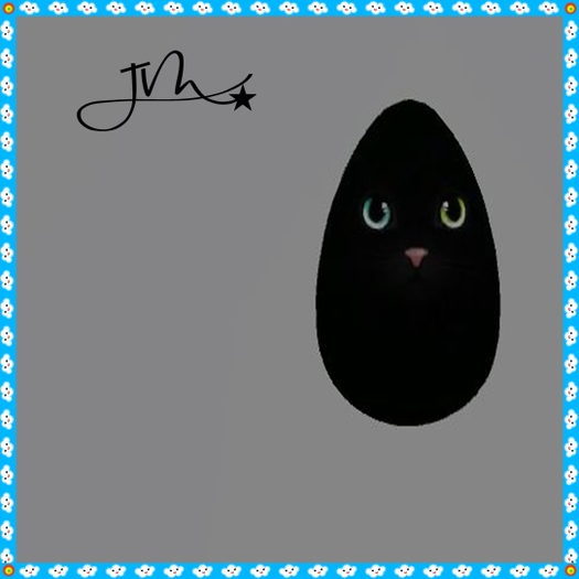 EGG CAT BLACK JM
