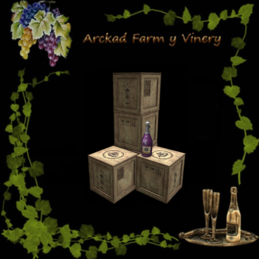 Botellas vacias / Empty bottles [G&S] (CHANG-ROS)