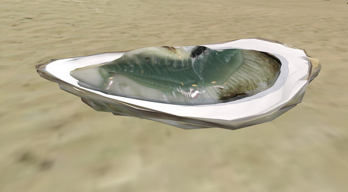 oyster