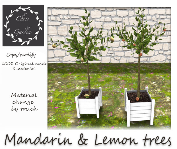 C*Mandarin & Lemon trees