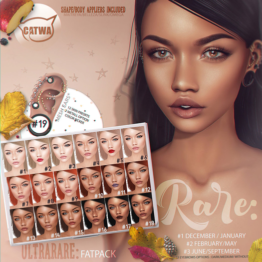 Pumec RARE 1  SKIN SET - (December/ January)  --- RARE -`ღ´-