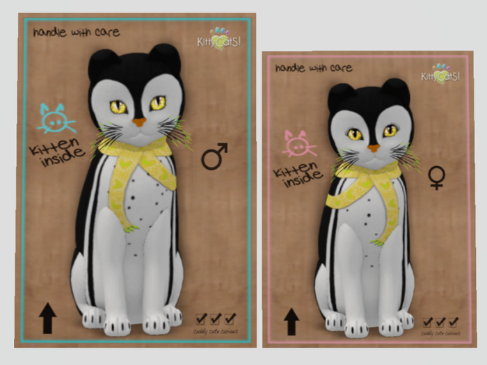 2021 LOVE pEngUinS! - YellowFin Tuna Pair