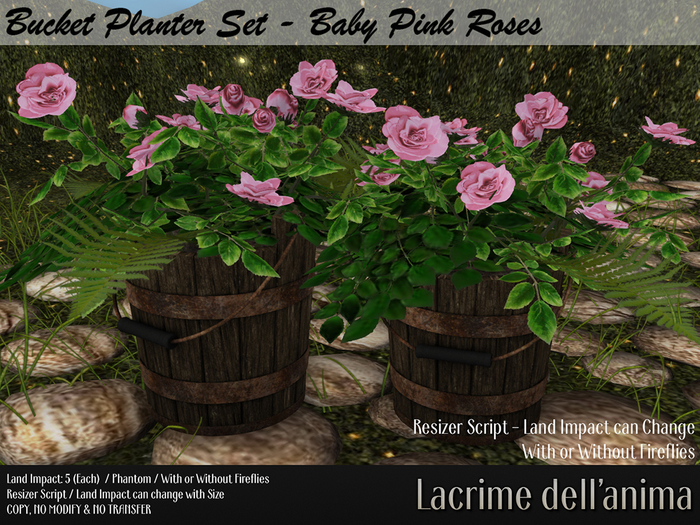 Bucket Planter - Baby Pink Roses