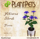 PlantPet Seed [Hibiscus Shrub *Tivona*] Rare
