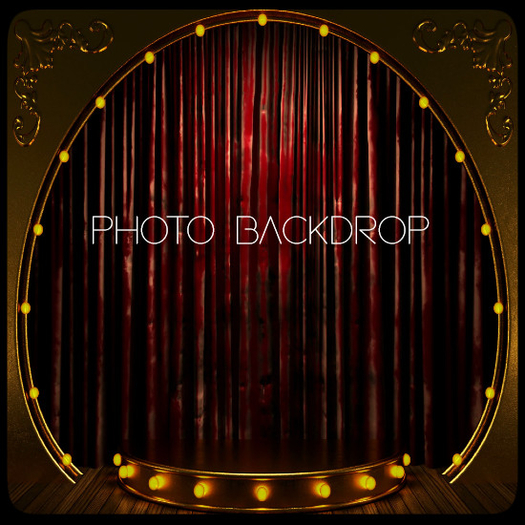 [AE] Photo Backdrop - Gold Swag 9