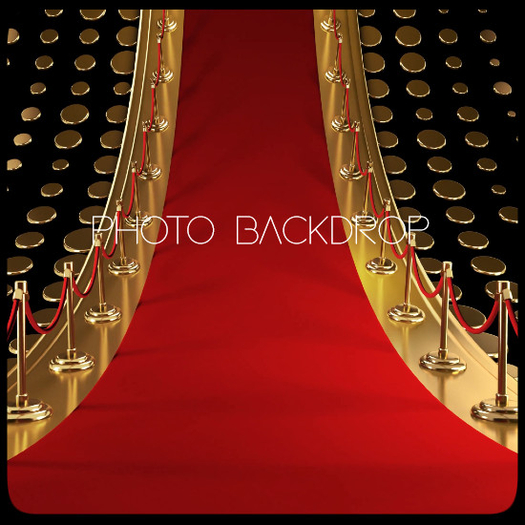 [AE] Photo Backdrop - *SALE*Gold Swag 3