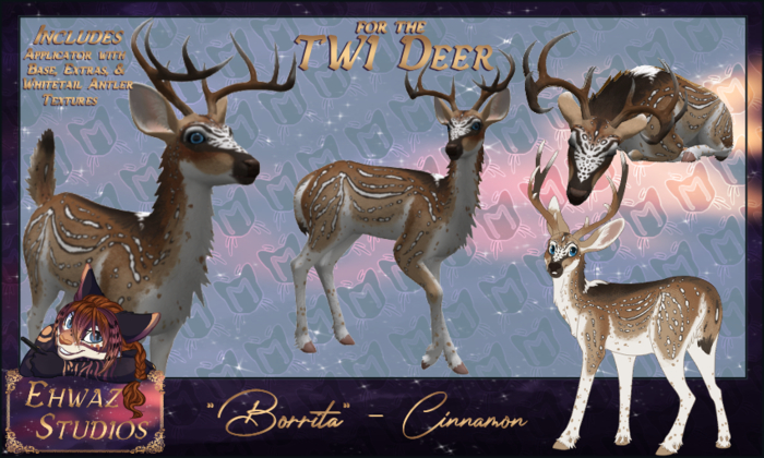 "Borrita" - Cinnamon