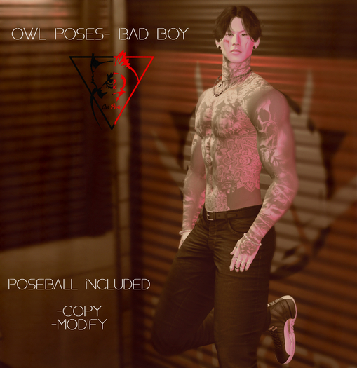 OWL POSES- BAD BOY
