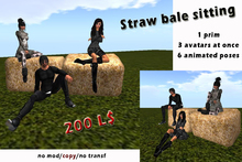 Straw bale sitting