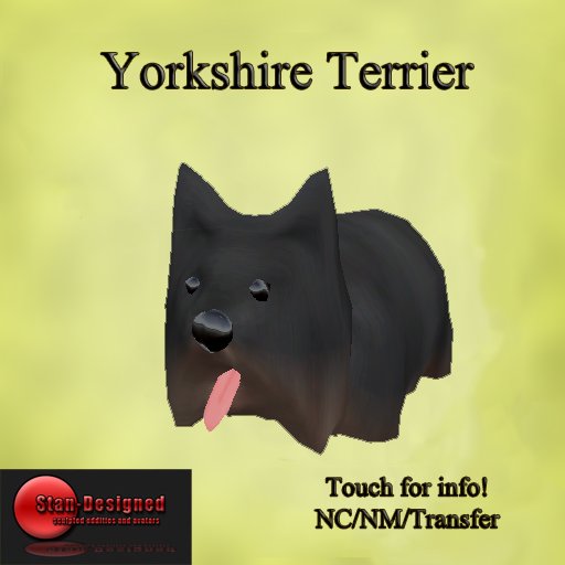 Yorkshire Terrier