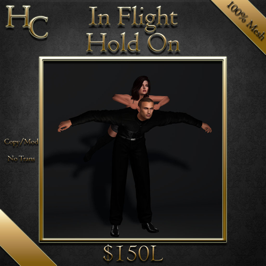 HC Poses - In Flight Hold On