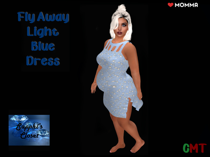 Fly Away Dress Light Blue