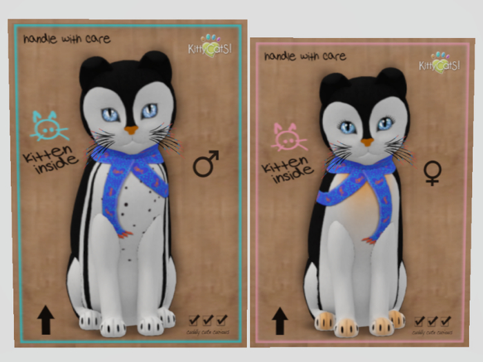 2021 LOVE pEngUinS! - Blue Gill Pair