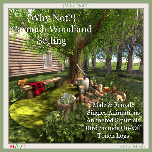 {Why Not?} Carnoch Woodland Setting-Boxed