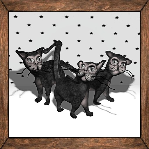 Cica's three spooky cats (box)