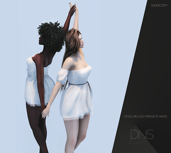 DNS - ' HOLD AN OLD FRIEND'S HAND ' COUPLES POSE