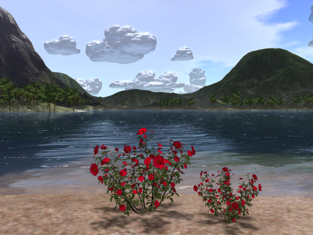 Full Perm Tropical Flowers