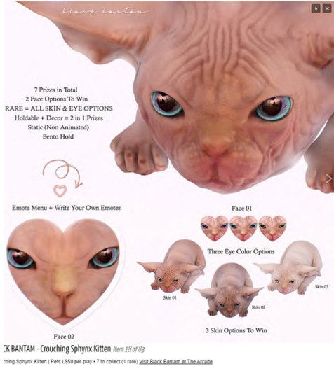 *[BB] Crouching Sphynx Kitten 2in1 Face 02 Skin 01