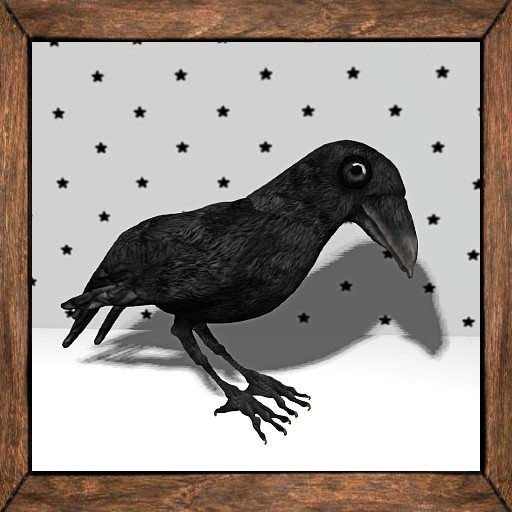 Cica's bird - 3 different animations (box)