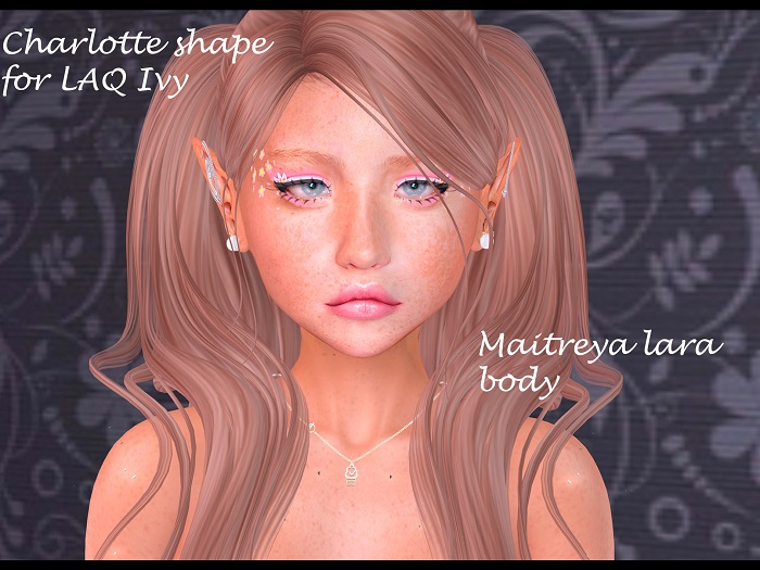 CHARLOTTE SHAPE