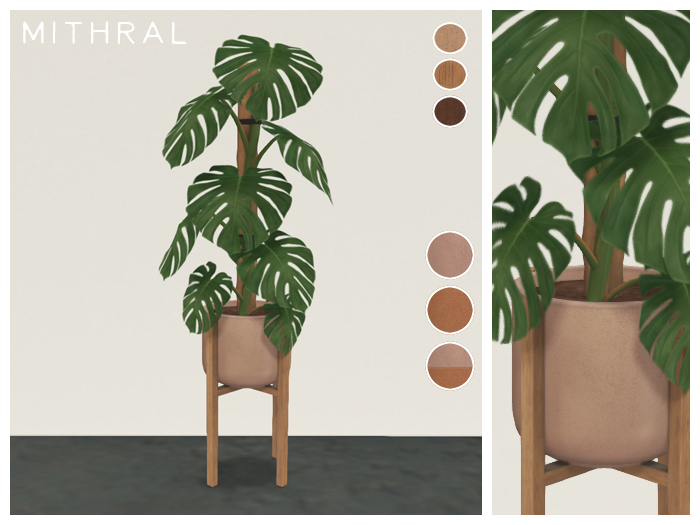 Mithral * Monstera Deliciosa (Pack B)