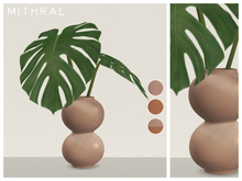 Mithral * Monstera Deliciosa Vase (Pack B)