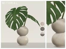 Mithral * Monstera Deliciosa Vase Fat Pack