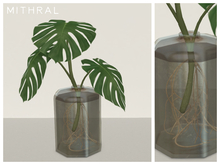 Mithral * Monstera Deliciosa Propagation Jar (Brown)